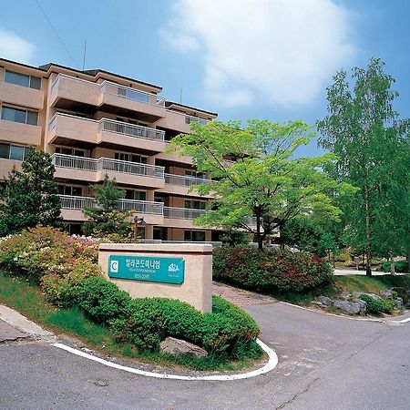 Yongpyong Resort Villa Condominium Πιόνγκτσανγκ Εξωτερικό φωτογραφία