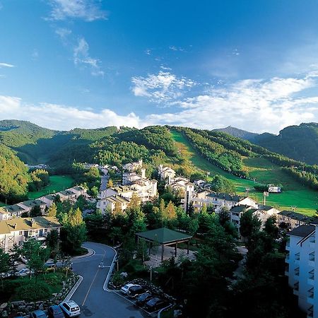 Yongpyong Resort Villa Condominium Πιόνγκτσανγκ Εξωτερικό φωτογραφία