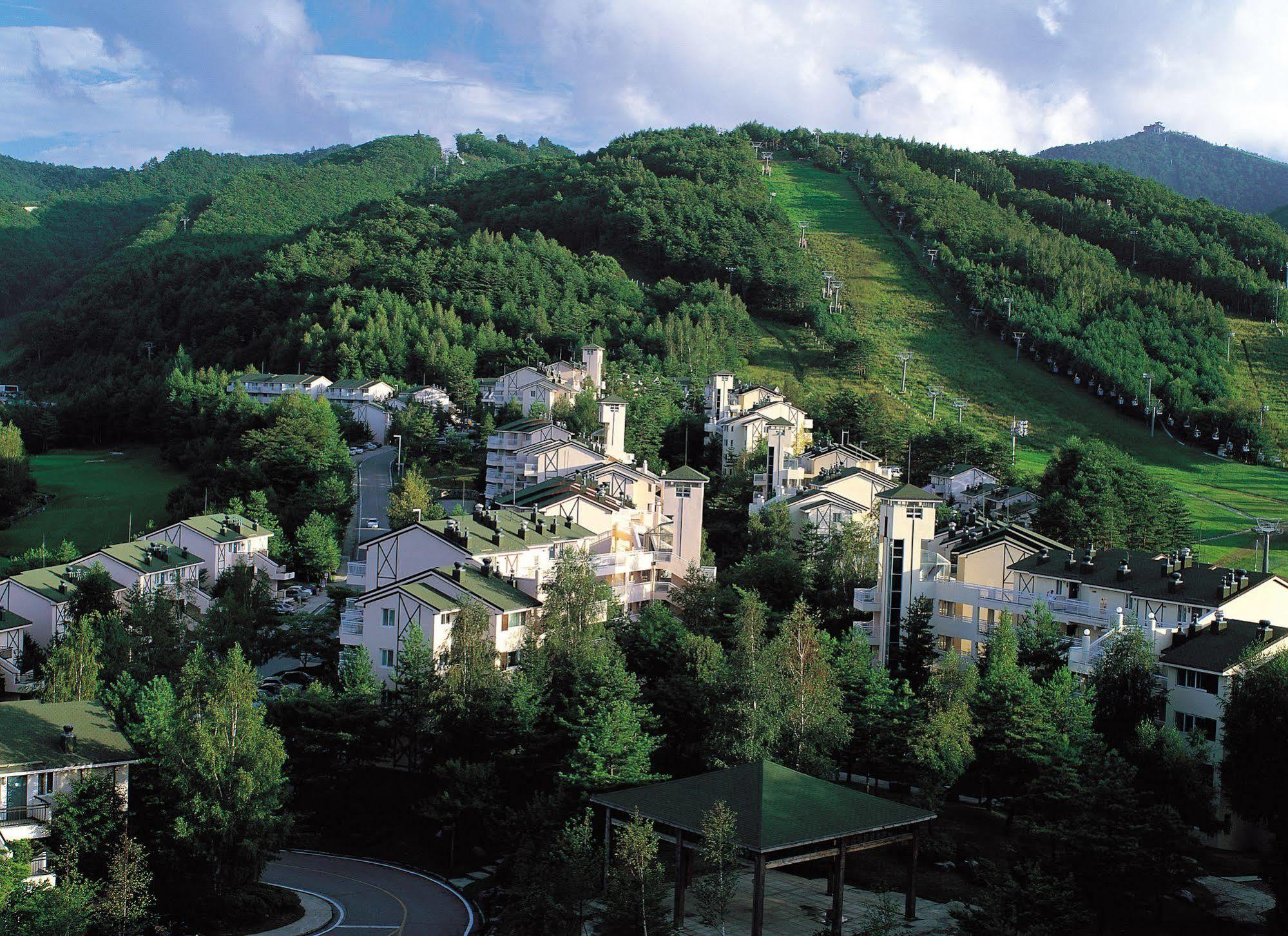Yongpyong Resort Villa Condominium Πιόνγκτσανγκ Εξωτερικό φωτογραφία