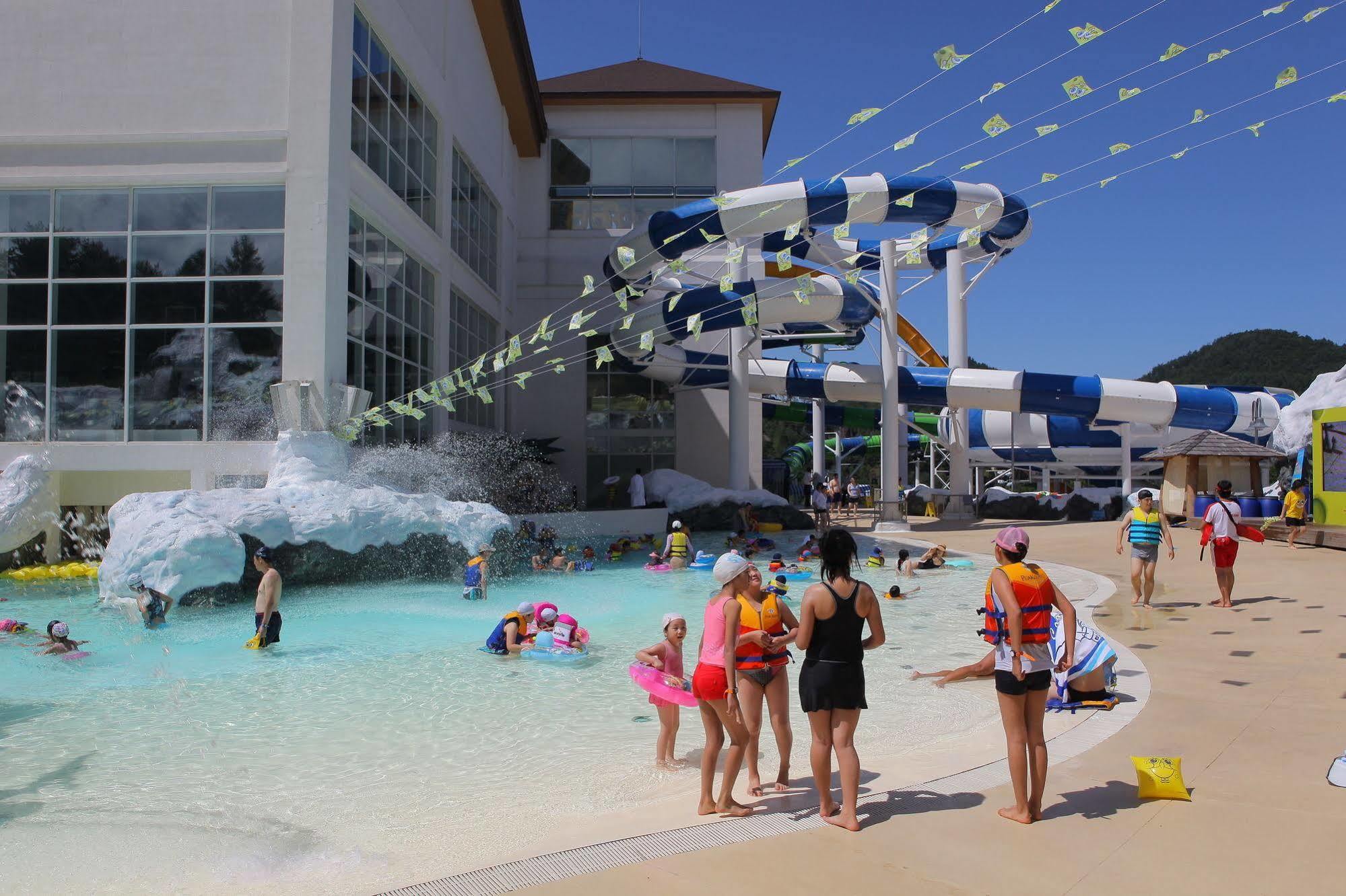 Yongpyong Resort Villa Condominium Πιόνγκτσανγκ Εξωτερικό φωτογραφία