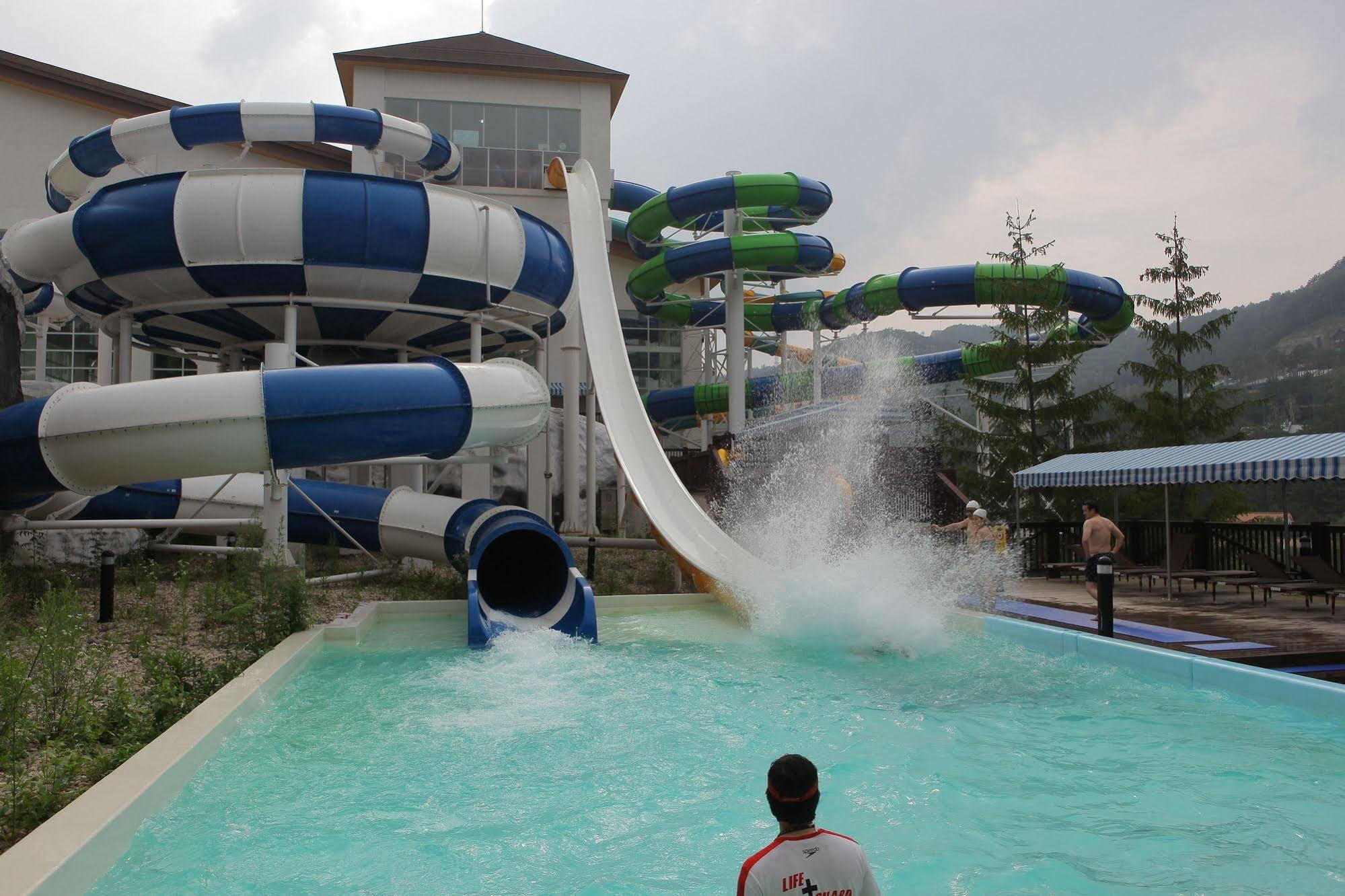 Yongpyong Resort Villa Condominium Πιόνγκτσανγκ Εξωτερικό φωτογραφία